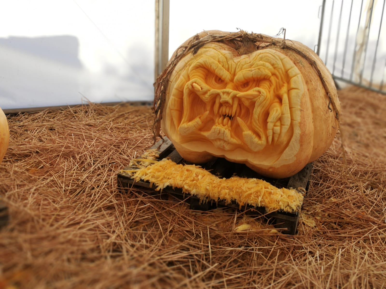 york maze carving pumpkin