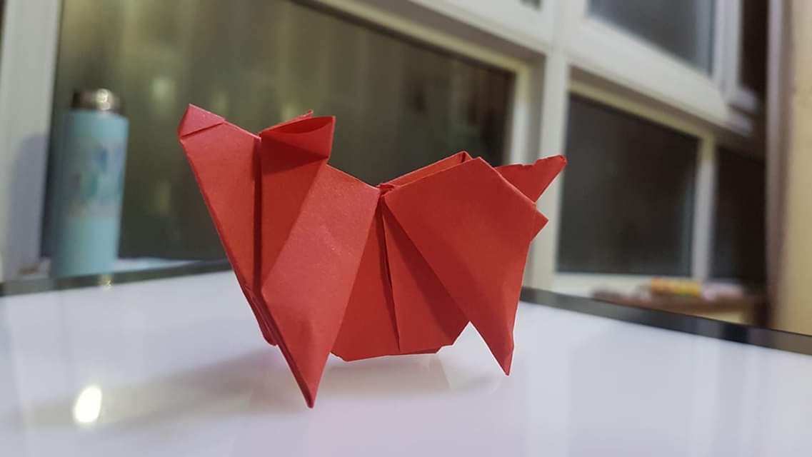 pig origami Spike Davis-Riseborough